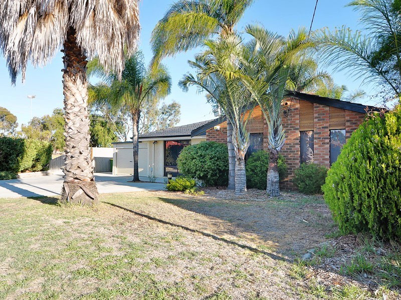 13 Dotterel Way, Yangebup WA 6164