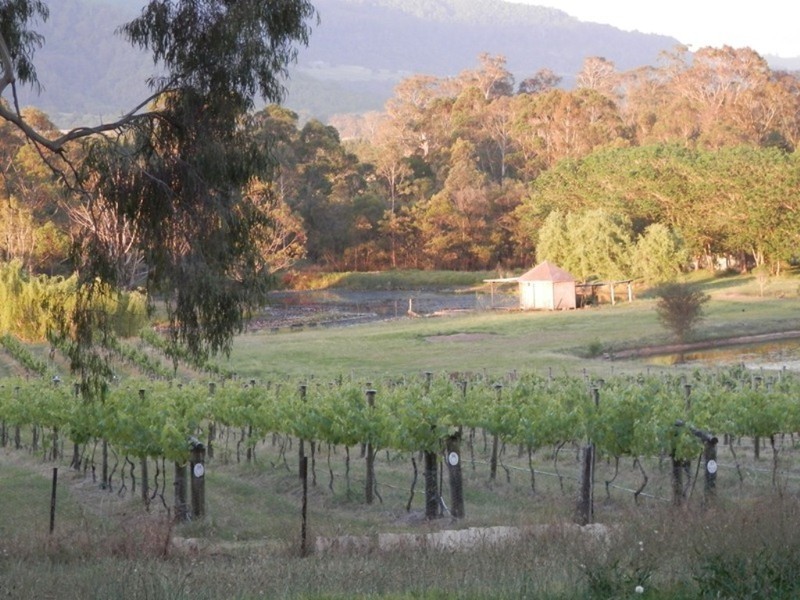 510 Illaroo Road, Bangalee NSW 2541