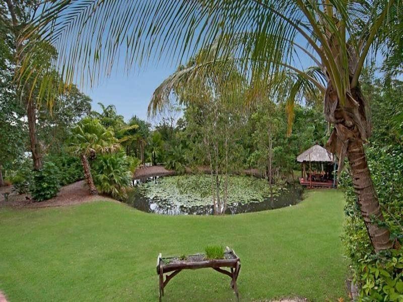 202 Arcoona Road, Yandina Creek QLD 4561