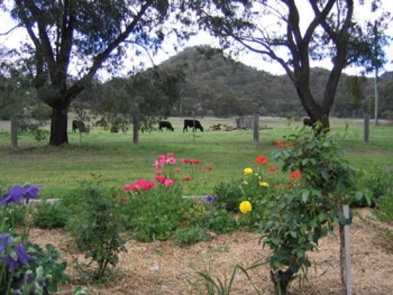 3179 Bylong Valley Way, Kerrabee NSW 2328