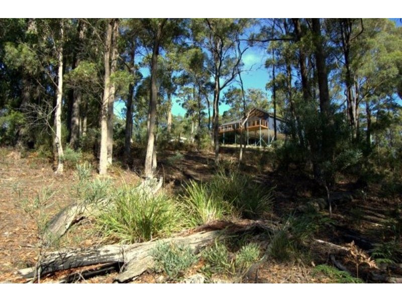 164 The Glen Road, Pipers River TAS 7252