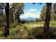 164 The Glen Road, Pipers River TAS 7252
