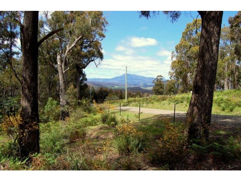 164 The Glen Road, Pipers River TAS 7252