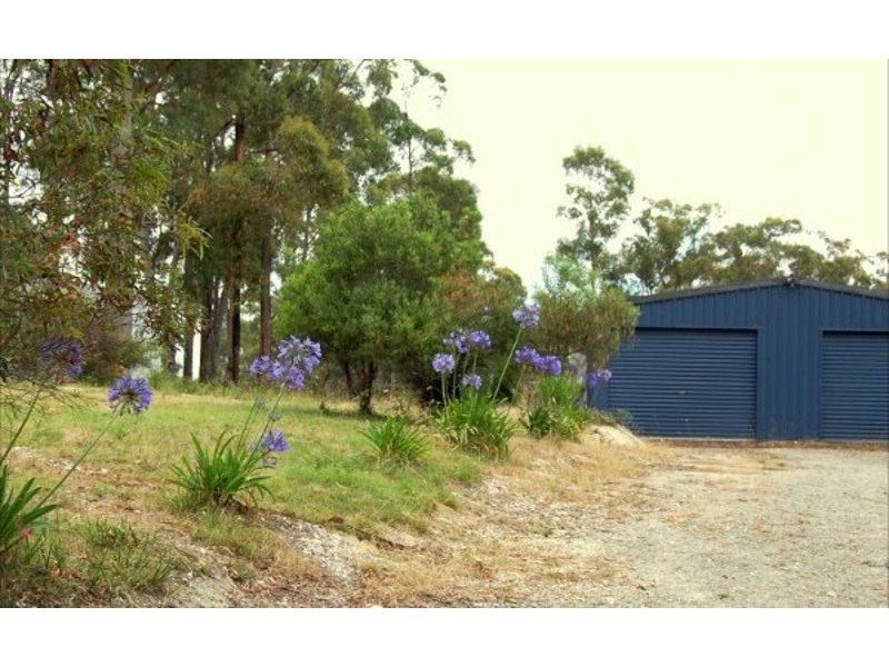 164 The Glen Road, Pipers River TAS 7252