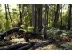 164 The Glen Road, Pipers River TAS 7252