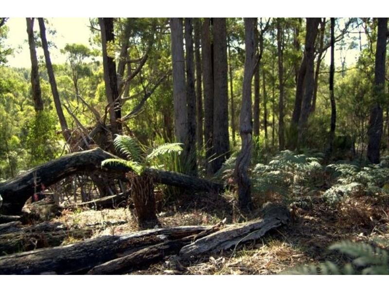 164 The Glen Road, Pipers River TAS 7252