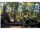 164 The Glen Road, Pipers River TAS 7252
