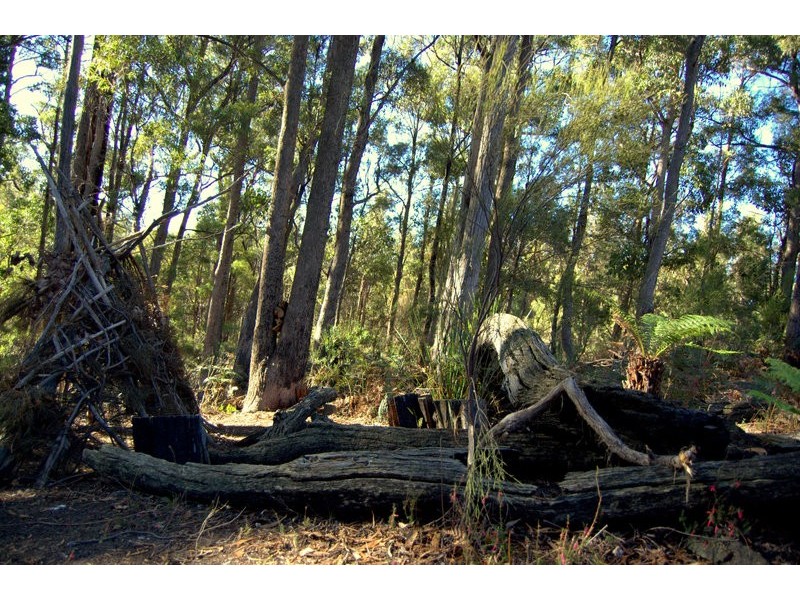 164 The Glen Road, Pipers River TAS 7252
