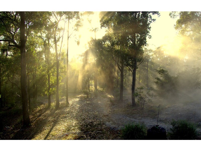 164 The Glen Road, Pipers River TAS 7252