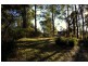 164 The Glen Road, Pipers River TAS 7252