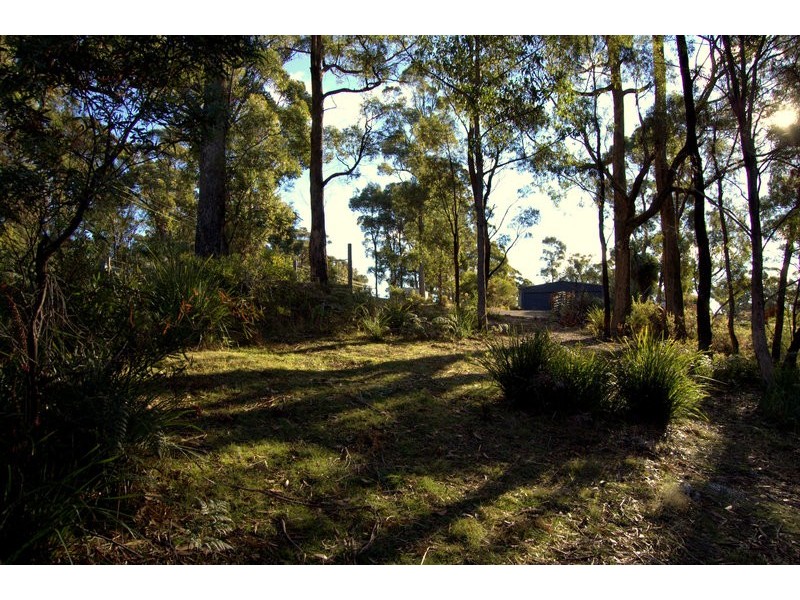 164 The Glen Road, Pipers River TAS 7252
