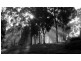 164 The Glen Road, Pipers River TAS 7252