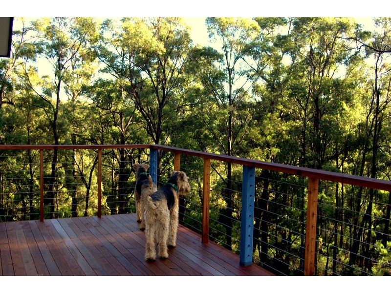164 The Glen Road, Pipers River TAS 7252