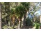 164 The Glen Road, Pipers River TAS 7252