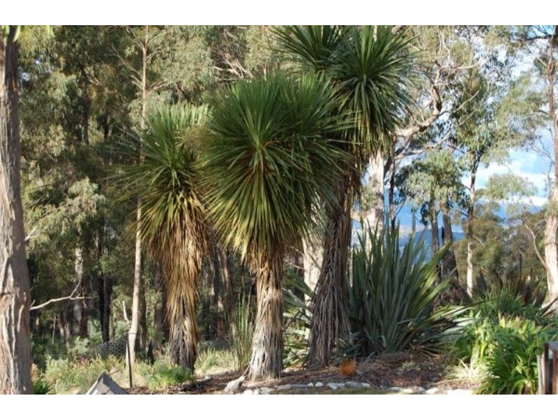 164 The Glen Road, Pipers River TAS 7252