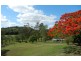 490 Cootharaba Road, Cootharaba QLD 4565