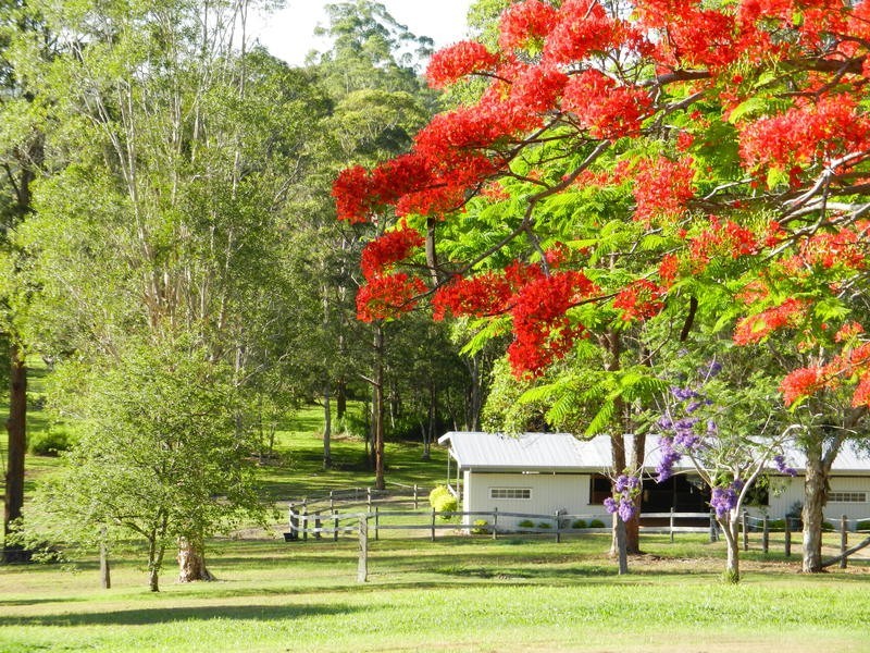 490 Cootharaba Road, Cootharaba QLD 4565