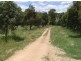 172  Saint Anthony’s Creek Rd, Glanmire NSW 2795