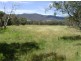 172  Saint Anthony’s Creek Rd, Glanmire NSW 2795