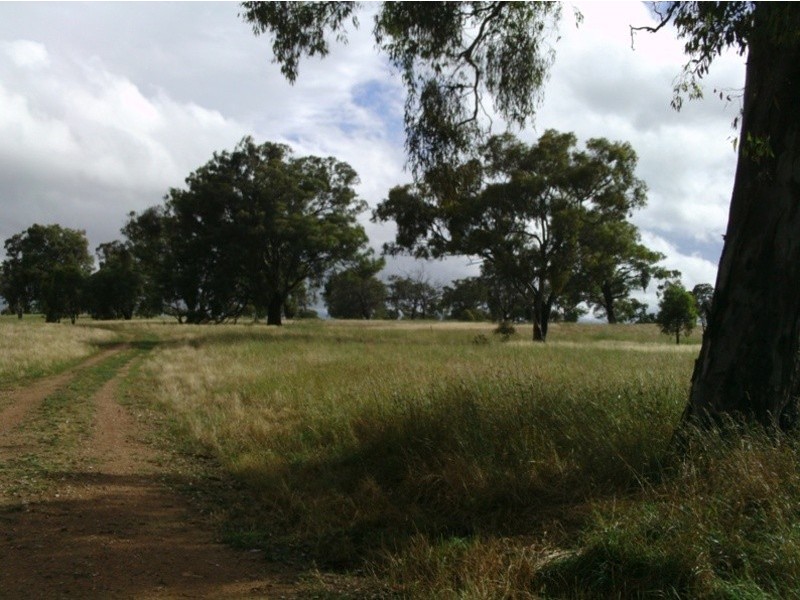 172  Saint Anthony’s Creek Rd, Glanmire NSW 2795