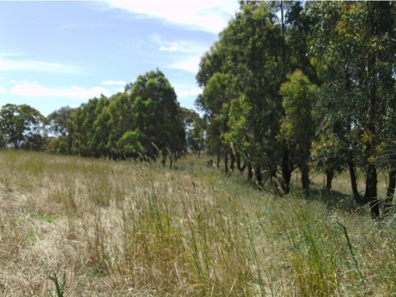172  Saint Anthony’s Creek Rd, Glanmire NSW 2795