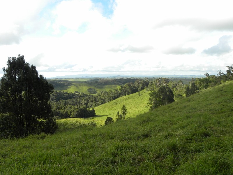 Lot 5 Merragallan Rd, Jaggan QLD 4885