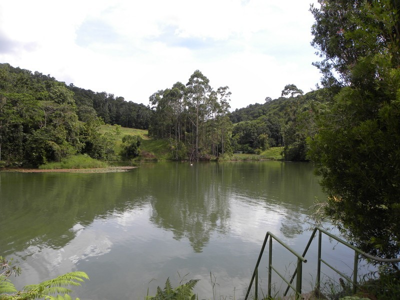 Lot 5 Merragallan Rd, Jaggan QLD 4885