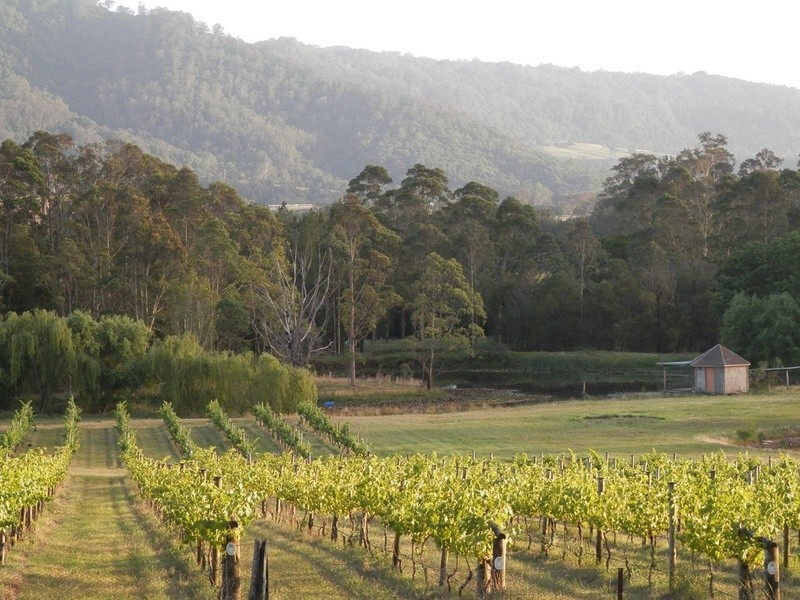 510 Illaroo Road, Bangalee NSW 2541