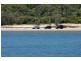 1 Fraser Court, Fraser Island QLD 4581