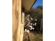 3 Hagan Avenue, Coonabarabran NSW 2357