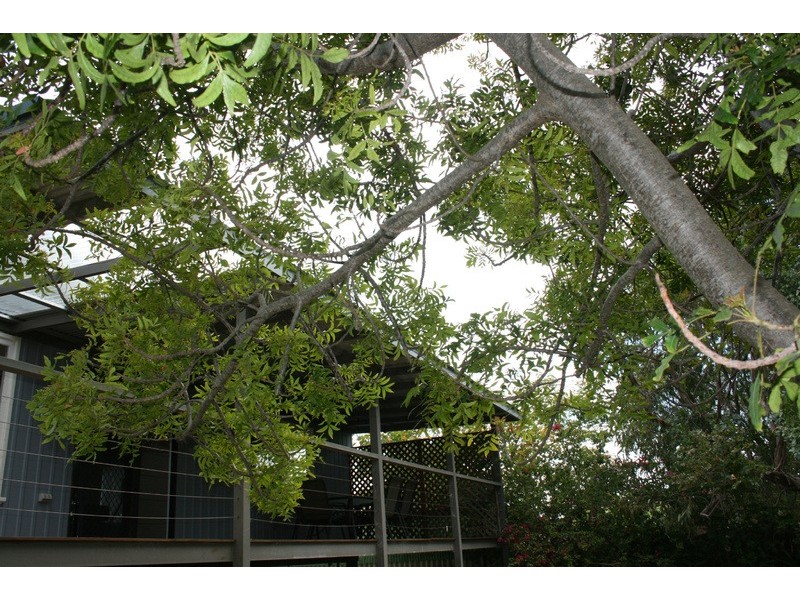 15 Tahiti Place, Jurien Bay WA 6516