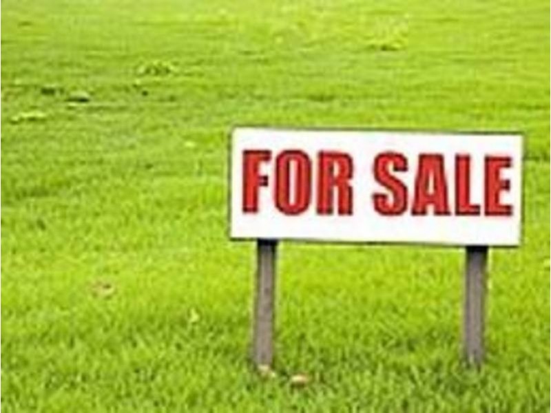 31-33  Tulip Grove, Cheltenham VIC 3192