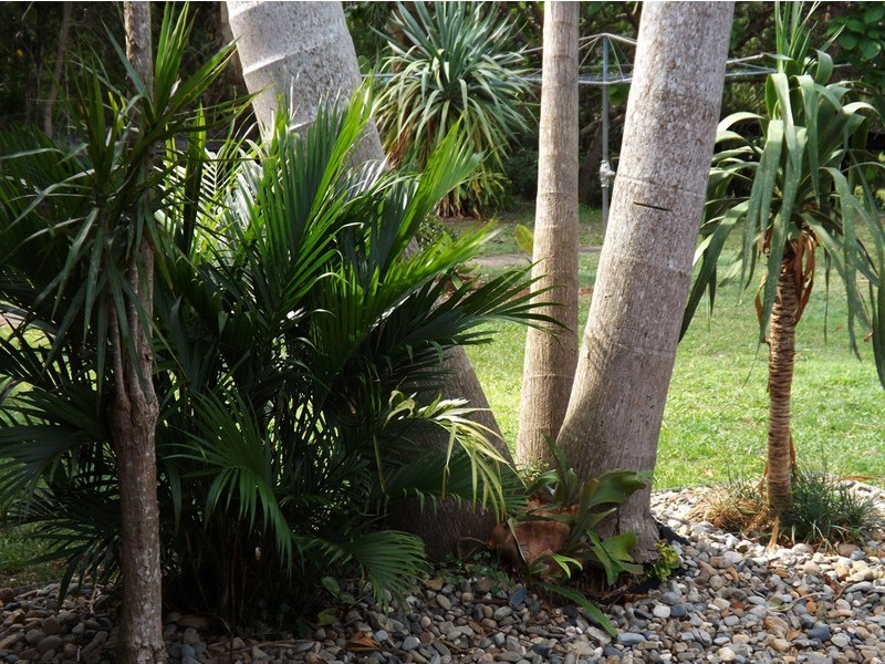 3 Pamela Drive, Chilcotts Grass NSW 2480