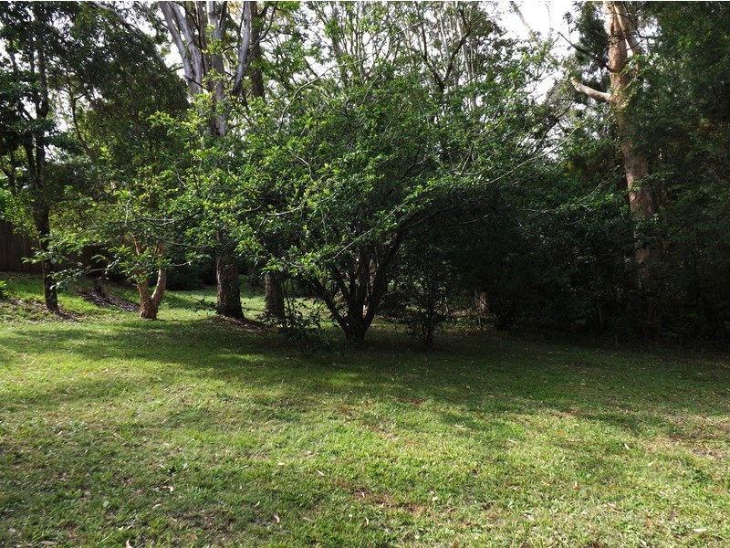 3 Pamela Drive, Chilcotts Grass NSW 2480