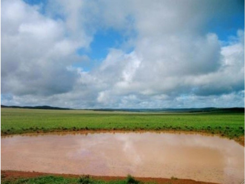 Block 7 Hundred of James, Cowell SA 5602