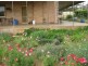 Block 7 Hundred of James, Cowell SA 5602