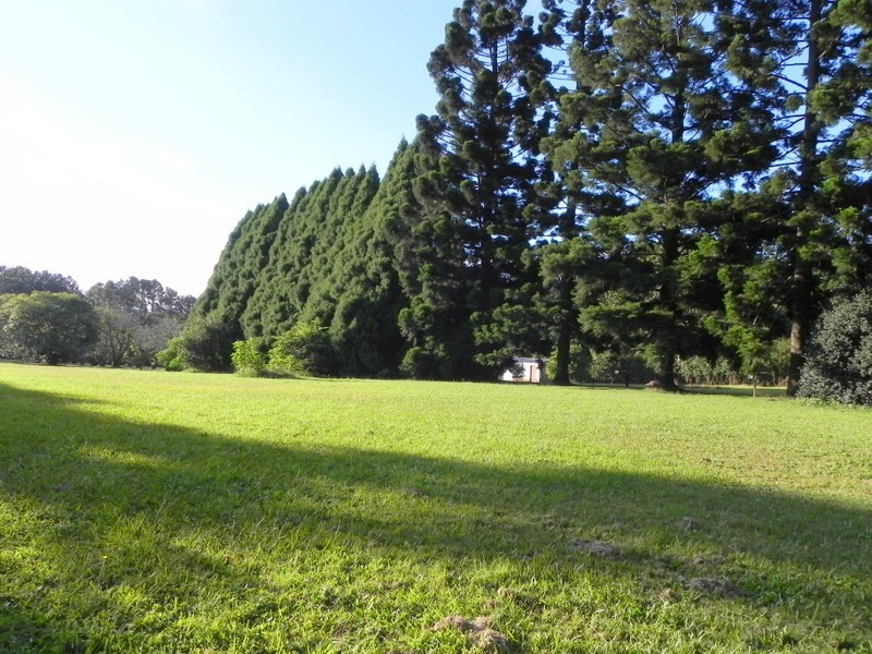 214 Mountain View Road, Maleny QLD 4552