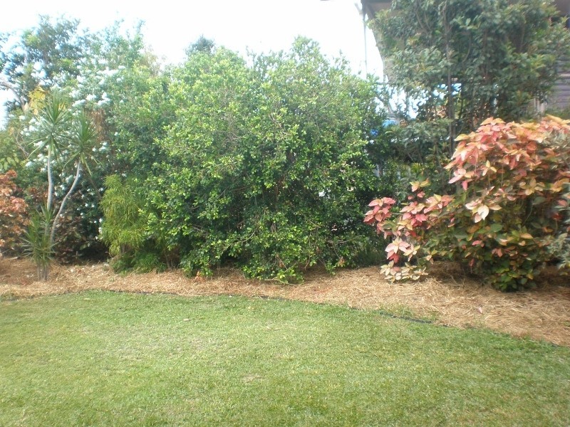 6 Bomana Street, Aitkenvale QLD 4814