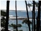 15 Holly St, Bendalong NSW 2539