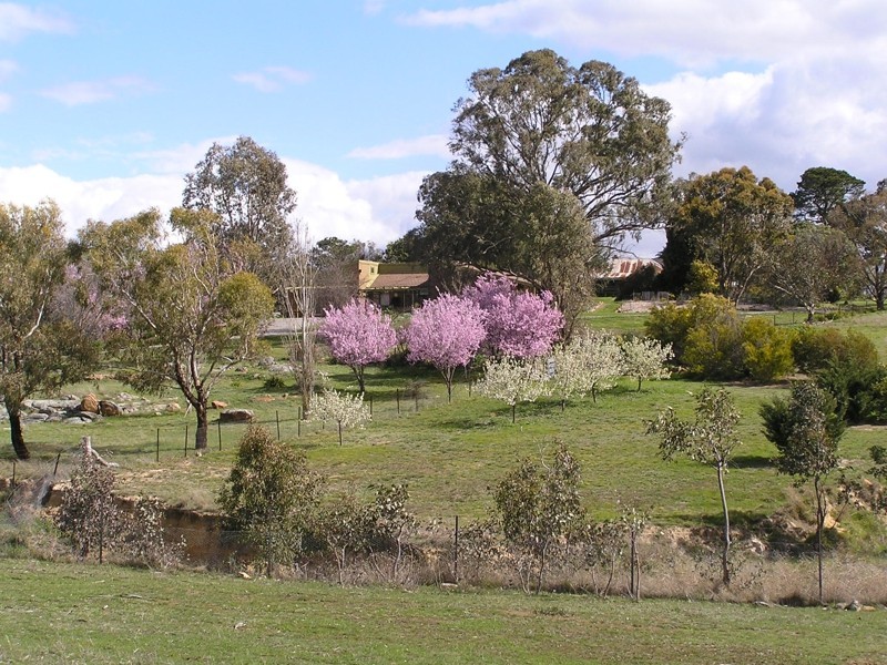 185 Hearnes Rd, Yass NSW 2582