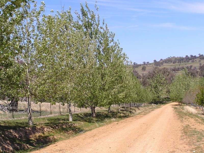 185 Hearnes Rd, Yass NSW 2582