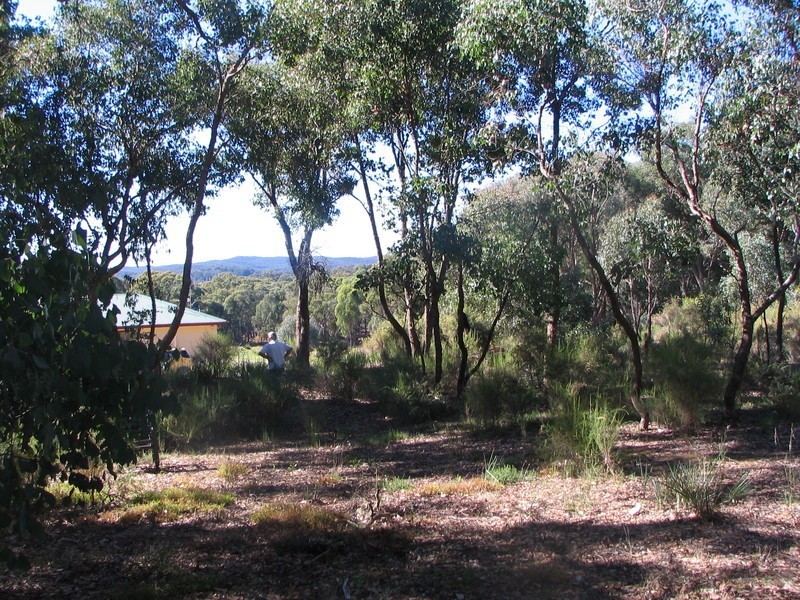 Lot 18 & 19  Vaughan Chewton Road, Irishtown VIC 3451