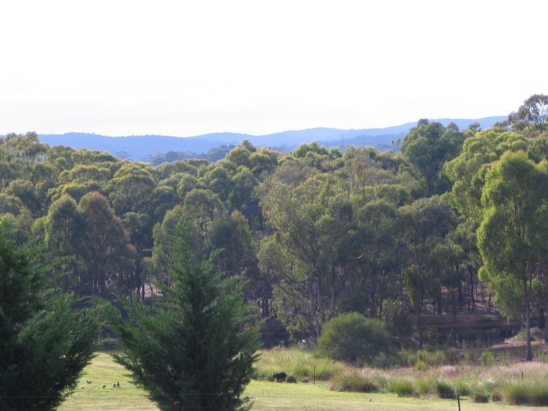 Lot 18 & 19  Vaughan Chewton Road, Irishtown VIC 3451
