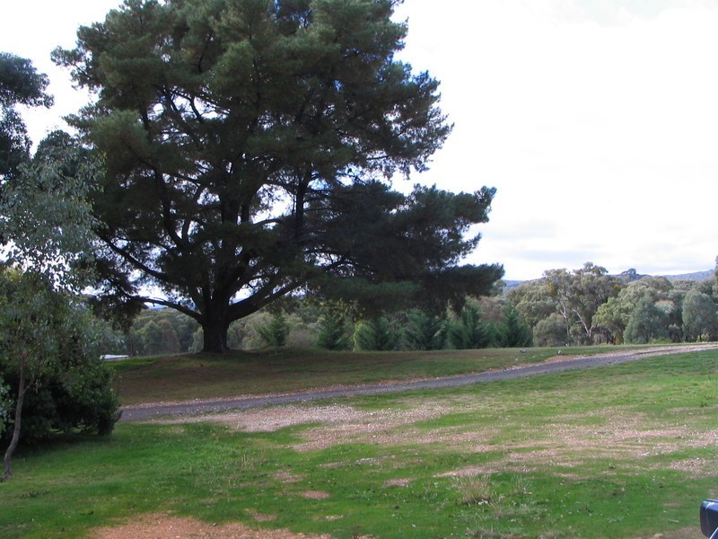 Lot 18 & 19  Vaughan Chewton Road, Irishtown VIC 3451