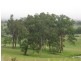 Lot 4 Beaury Creek Loop, Urbenville NSW 2475