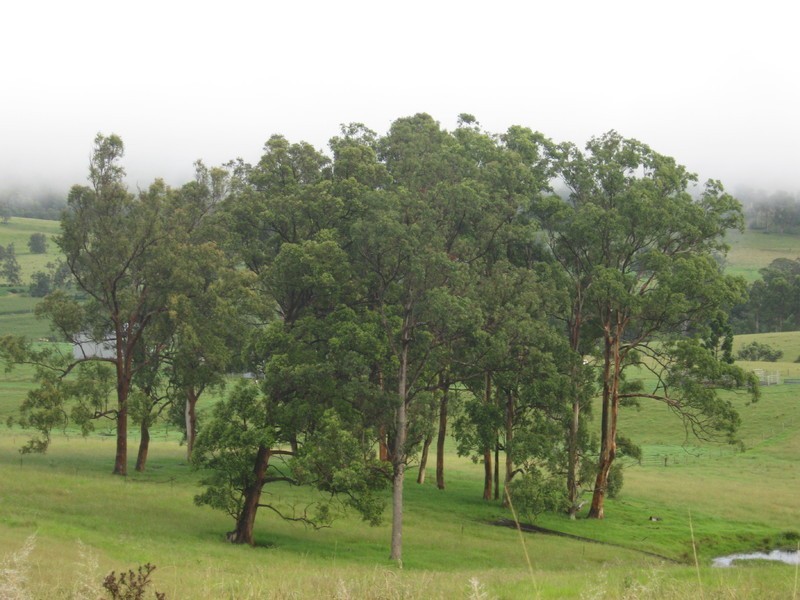 Lot 4 Beaury Creek Loop, Urbenville NSW 2475