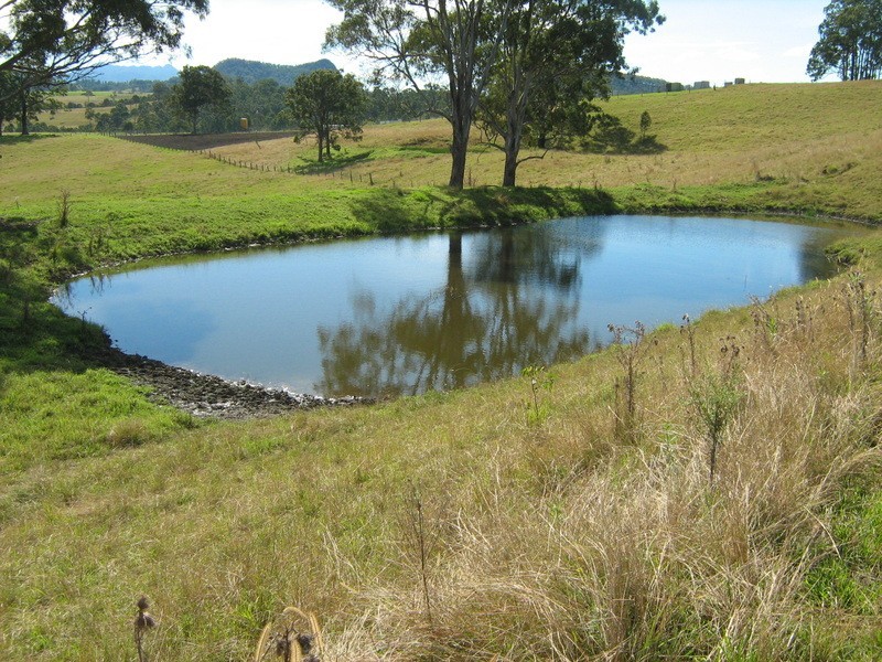 Lot 4 Beaury Creek Loop, Urbenville NSW 2475
