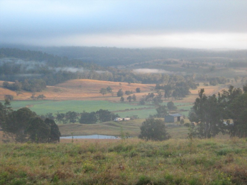 Lot 4 Beaury Creek Loop, Urbenville NSW 2475