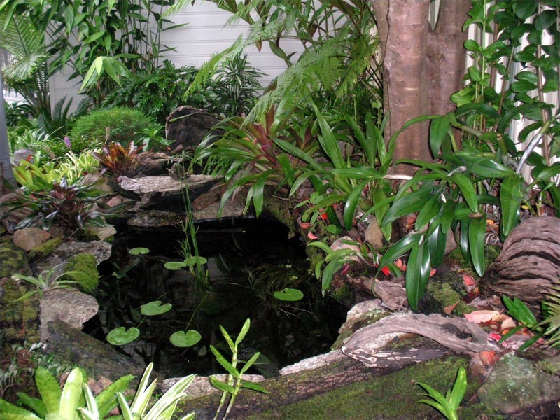 3 Ruth Lowe Court, Valla Beach NSW 2448