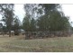 Cessnock NSW 2325